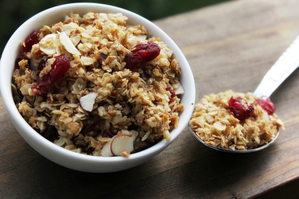 Cranberry Almond Granola - The Fresh Fridge