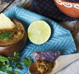 SpicySalsa9smallertitle